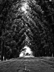 The Ugly Womanapos;s