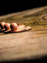 Crossing the Great Q