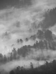 Billions of Blessing