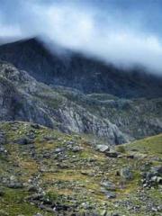 One Night of Indulge