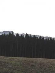 Spoil you in my arms