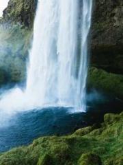 Eternal Sword Ancest