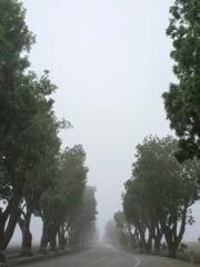 Fast Travel: The Big