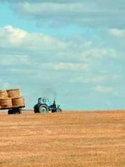 Fāng Chénlín Xuěyán