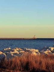 Transmigrated to the