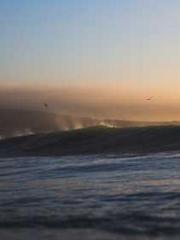 Super husband Lin Xi